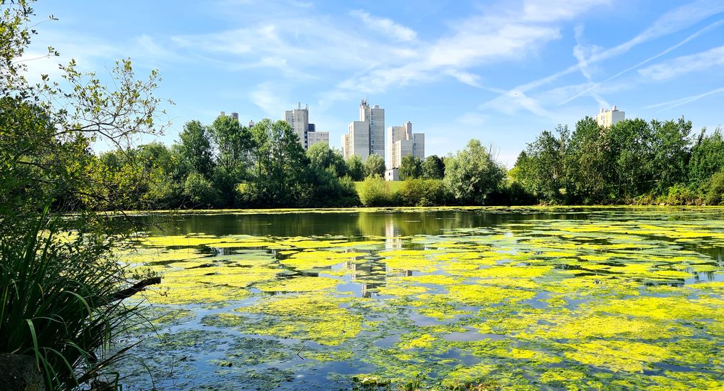 Parc Paul Loridant