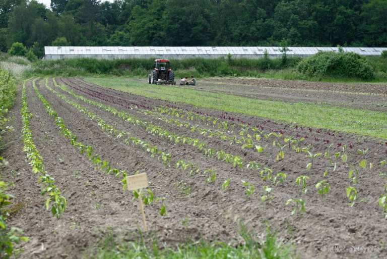 Ferme des potagers de Marcoussis